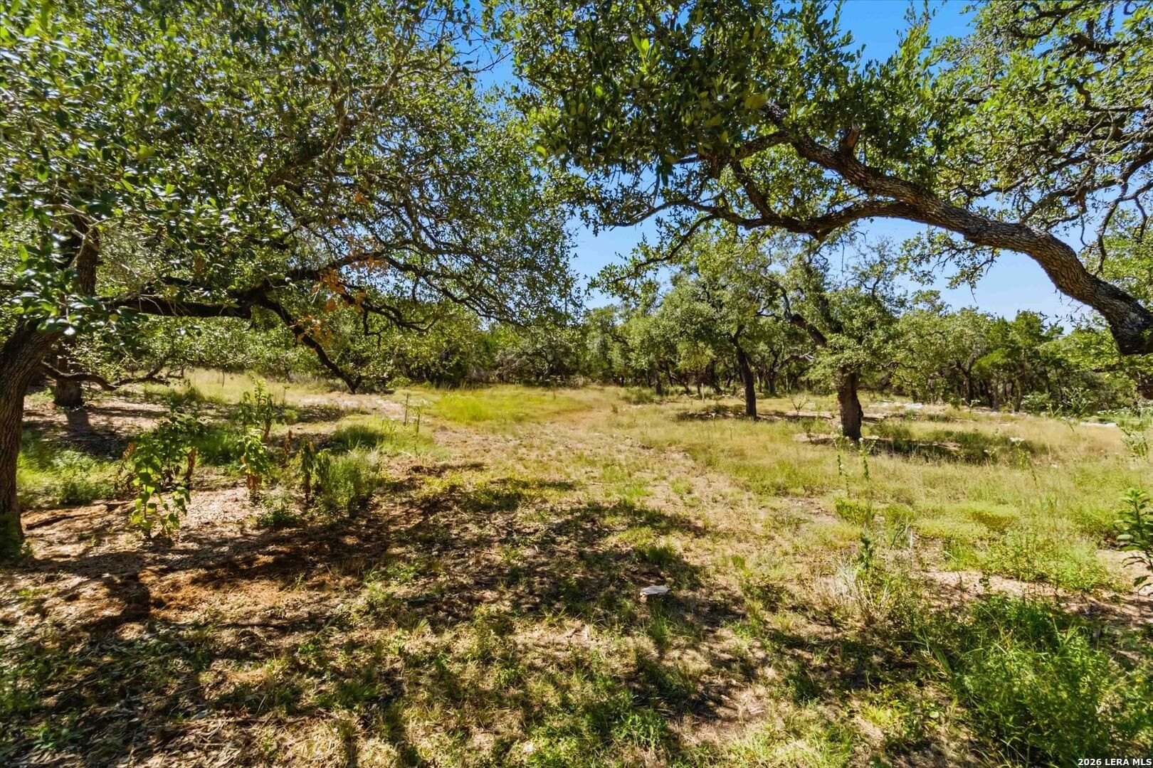 3.45 acres in Comal County - photo 21