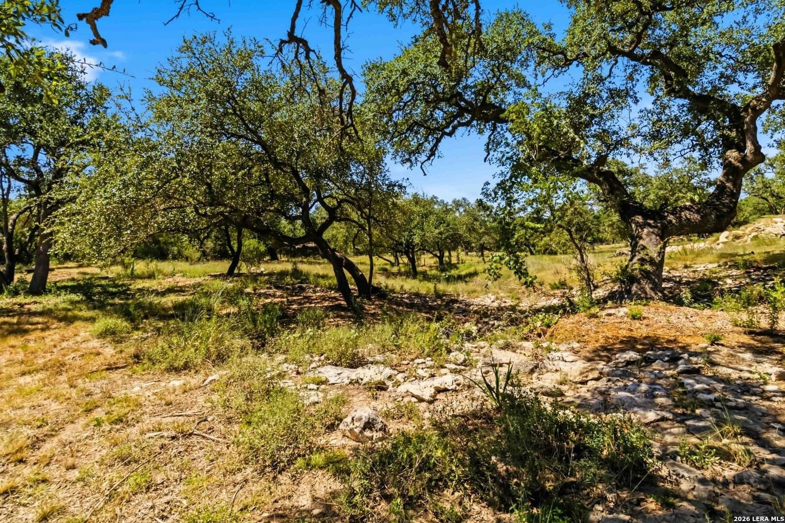 3.45 acres in Comal County - photo 5