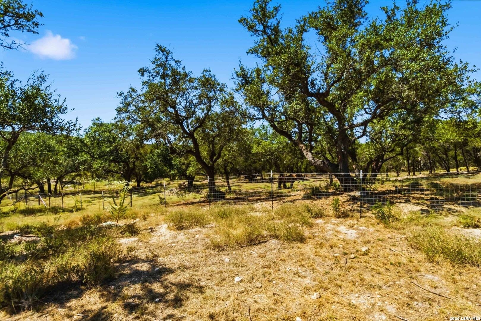 3.45 acres in Comal County - photo 25
