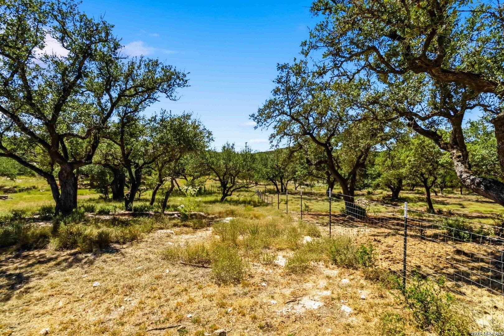 3.45 acres in Comal County - photo 16