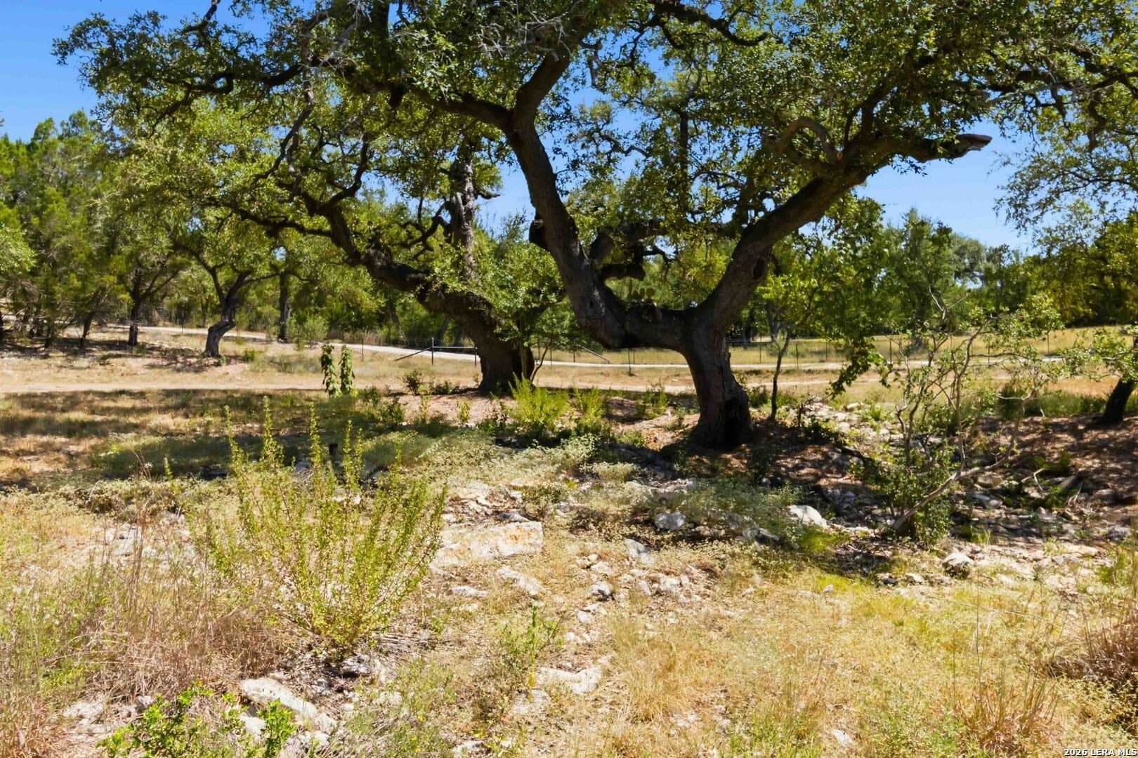 3.45 acres in Comal County - photo 9