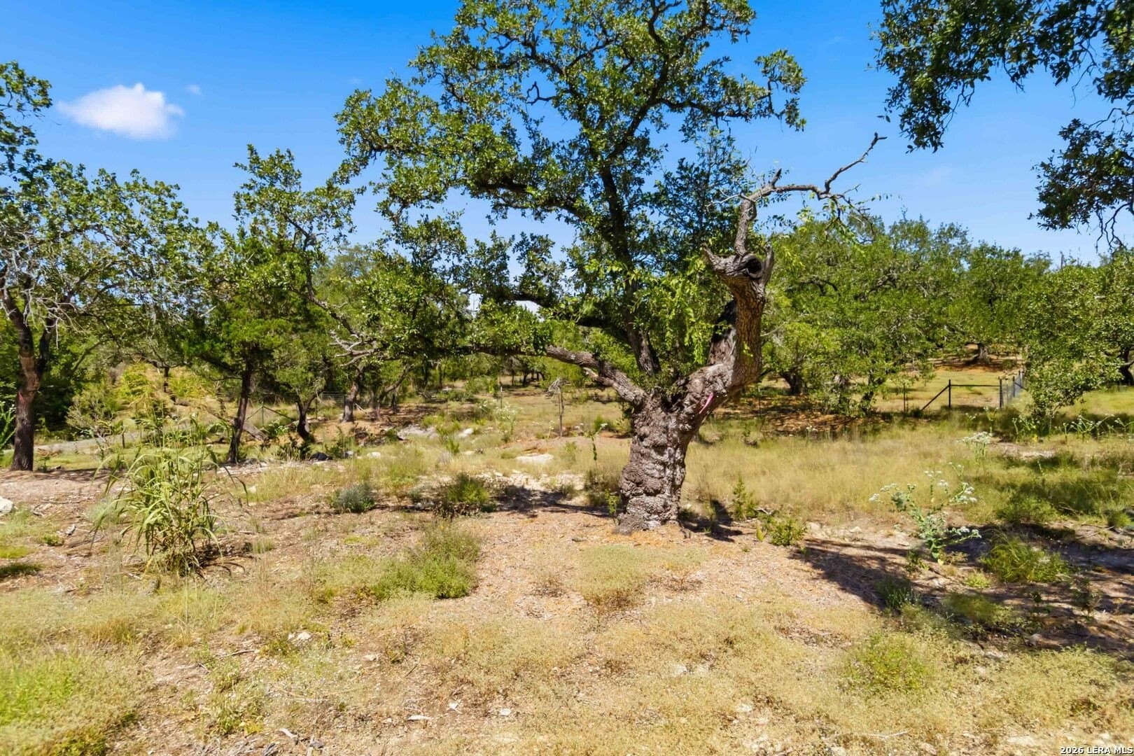 3.45 acres in Comal County - photo 23