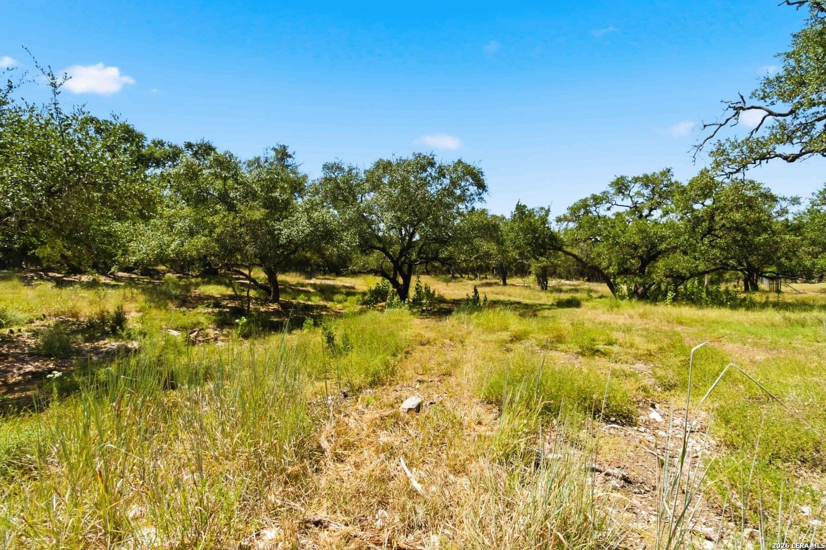 3.45 acres in Comal County - photo 7