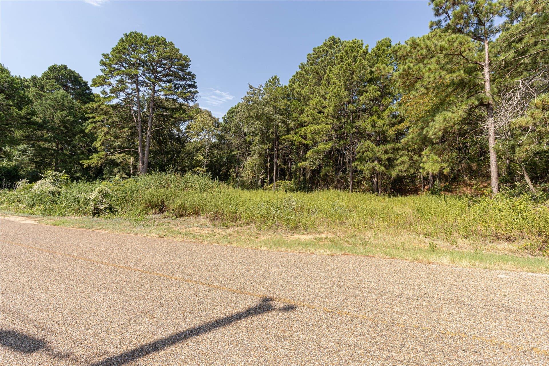 0.15 acres in Henderson County - photo 3