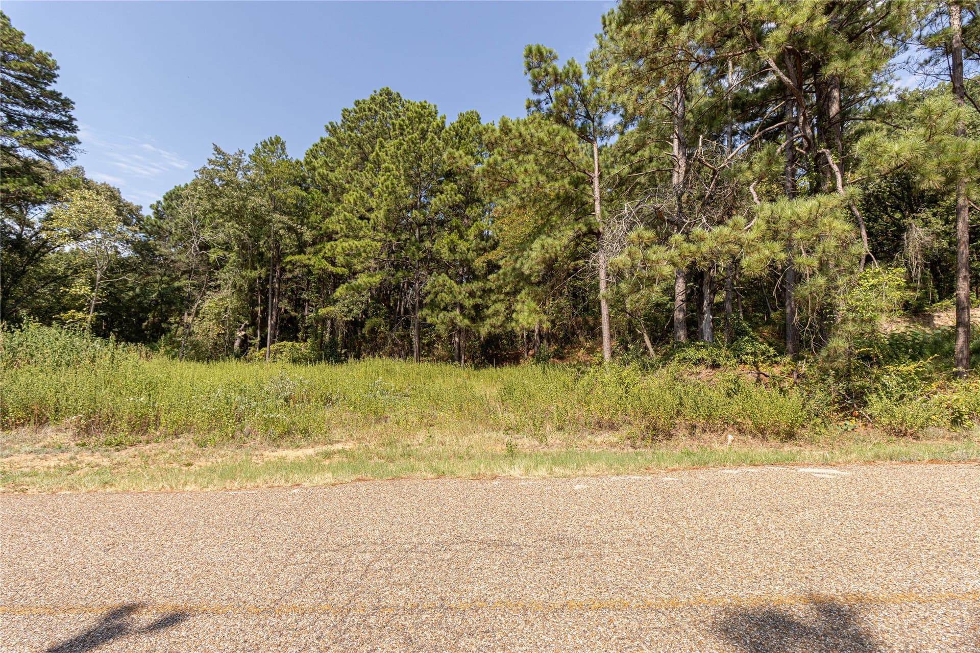 0.15 acres in Henderson County - photo 2