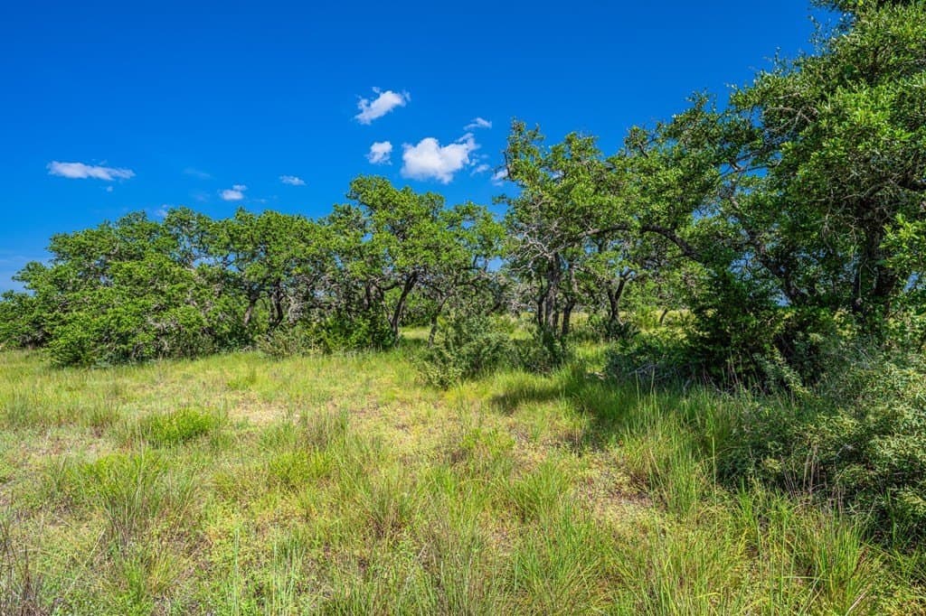 5.41 acres in Blanco County gallery image 4