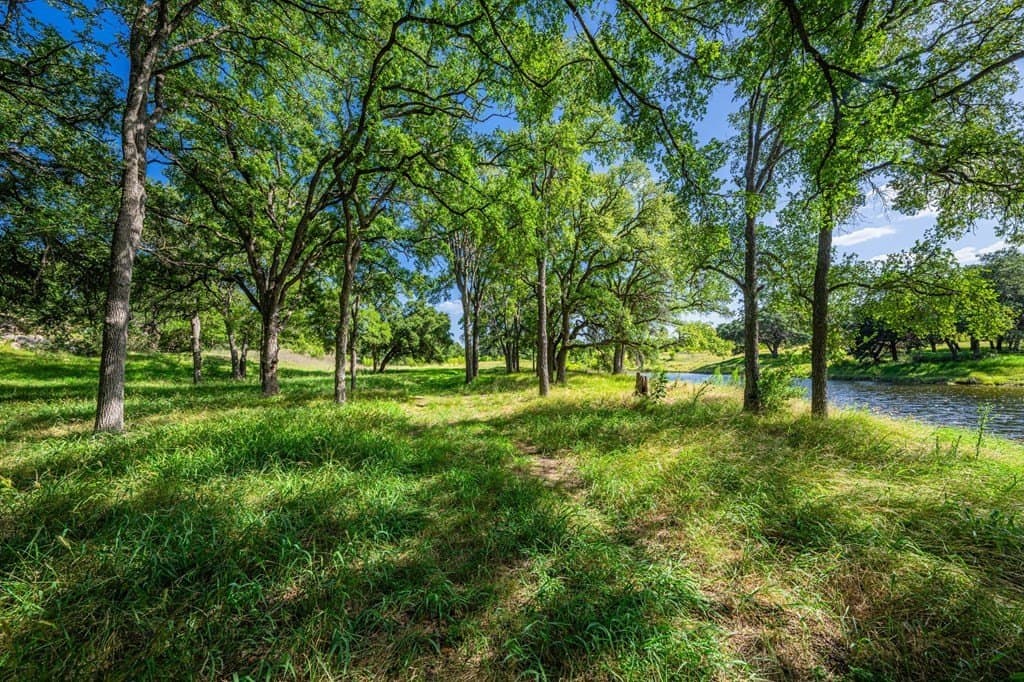 5.41 acres in Blanco County gallery image 3