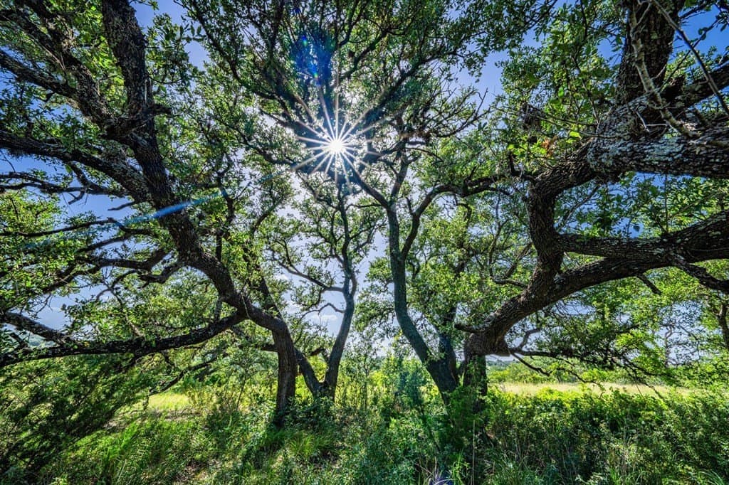 5.41 acres in Blanco County featured view