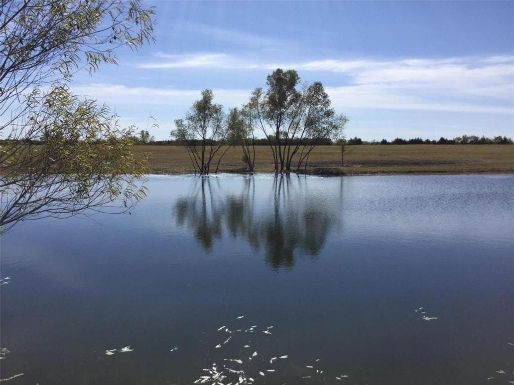 12.4 acres in Collin County gallery image 2