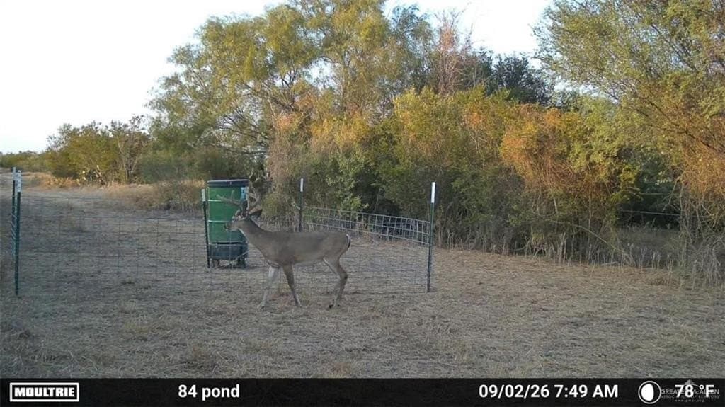 84.5 acres in Zapata County