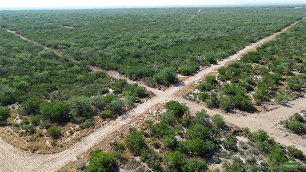 84.5 acres in Zapata County - photo 18