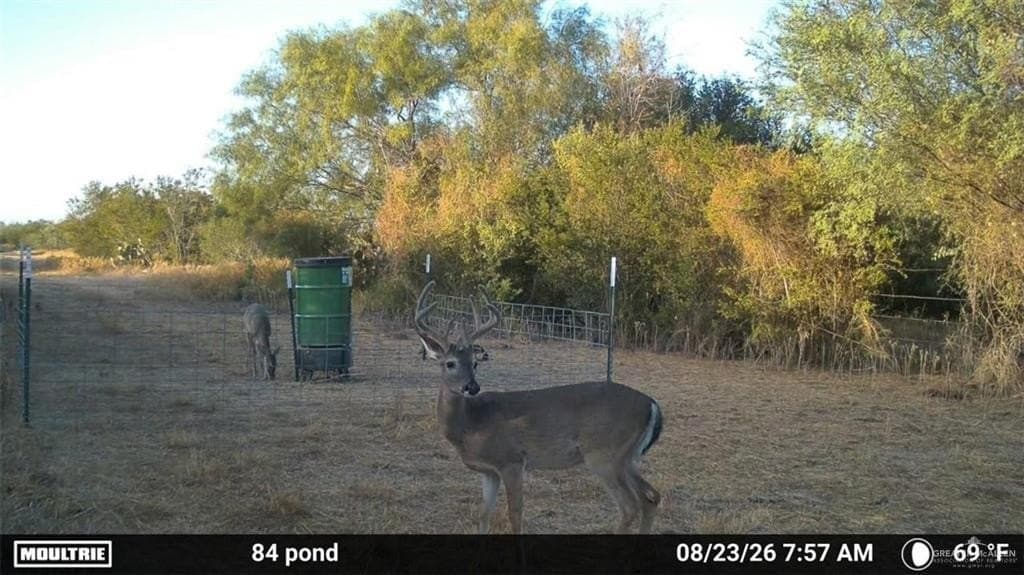 84.5 acres in Zapata County - photo 3