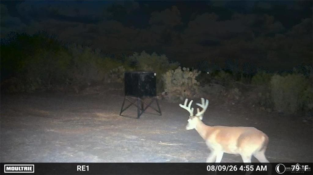 84.5 acres in Zapata County - photo 11