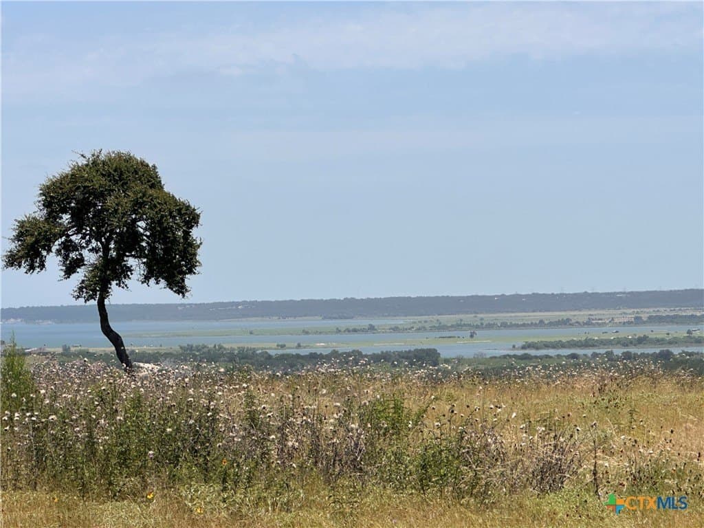 0.8 acres in Bell County gallery image 4
