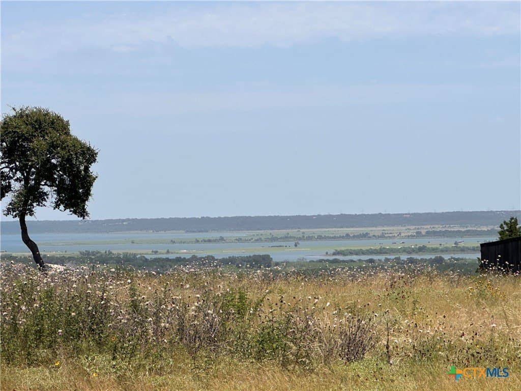 0.8 acres in Bell County gallery image 3