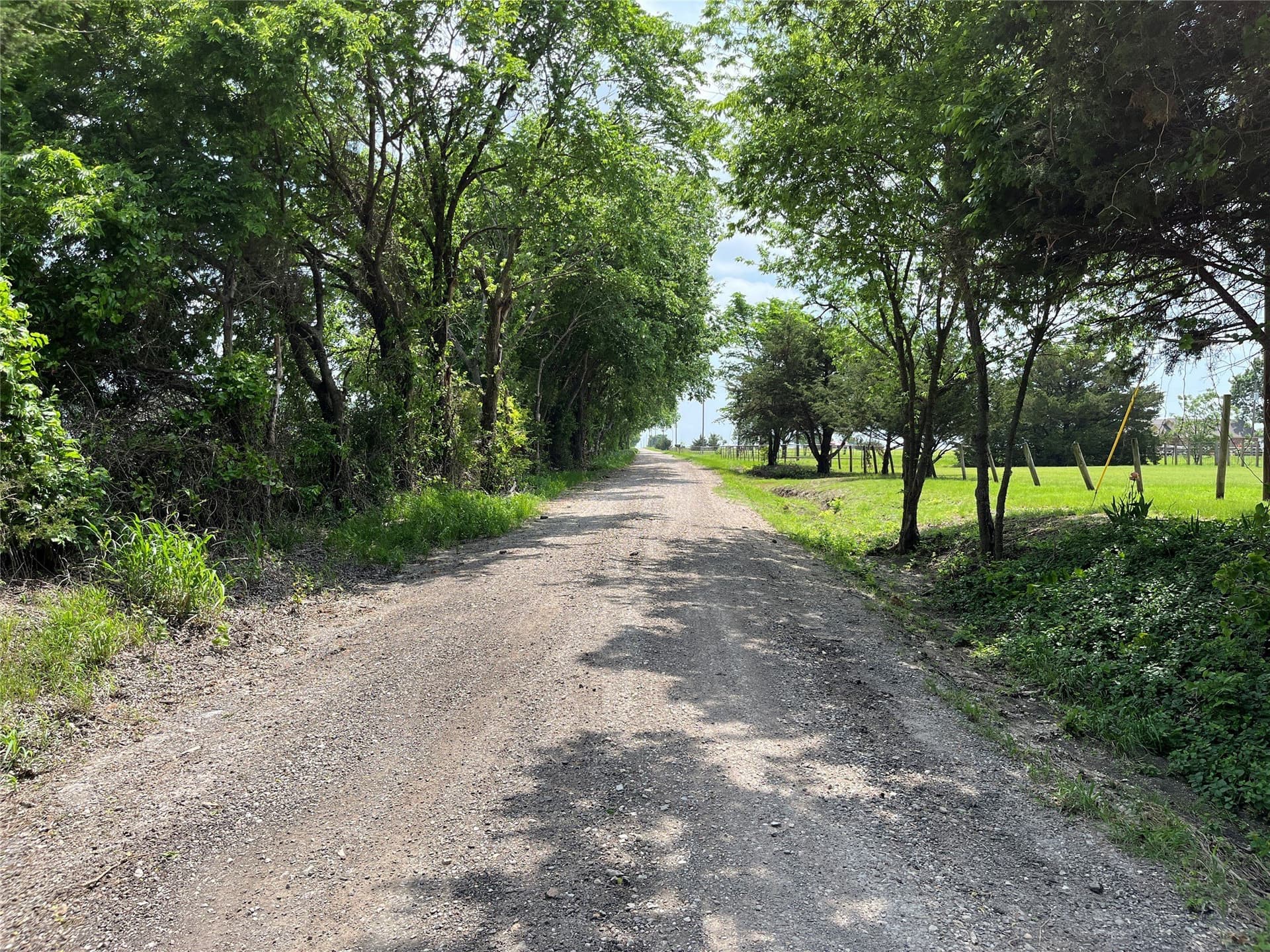 14.19 acres in Fannin County gallery image 4