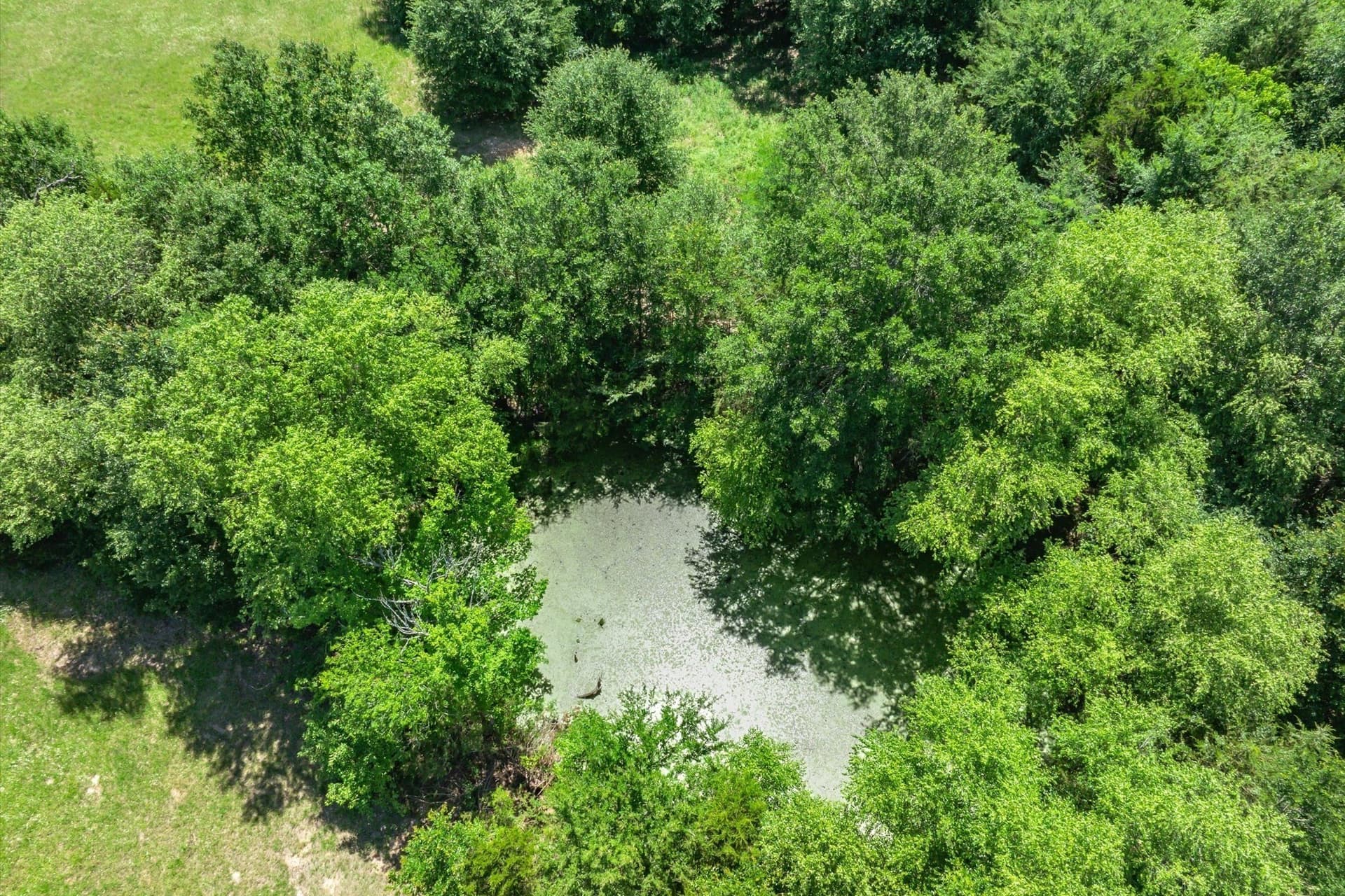 3.04 acres in Rains County - photo 13
