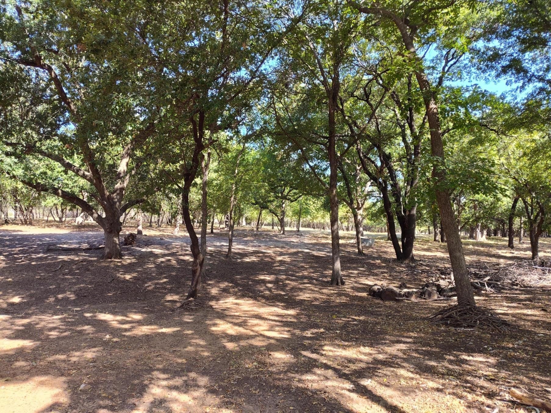 20.21 acres in Parker County - photo 36