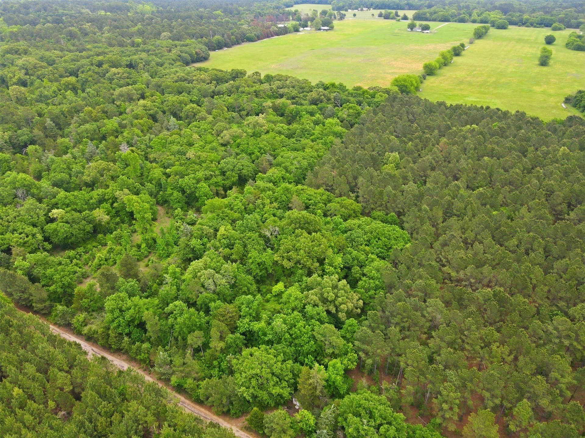 93 acres in Wood County - photo 10