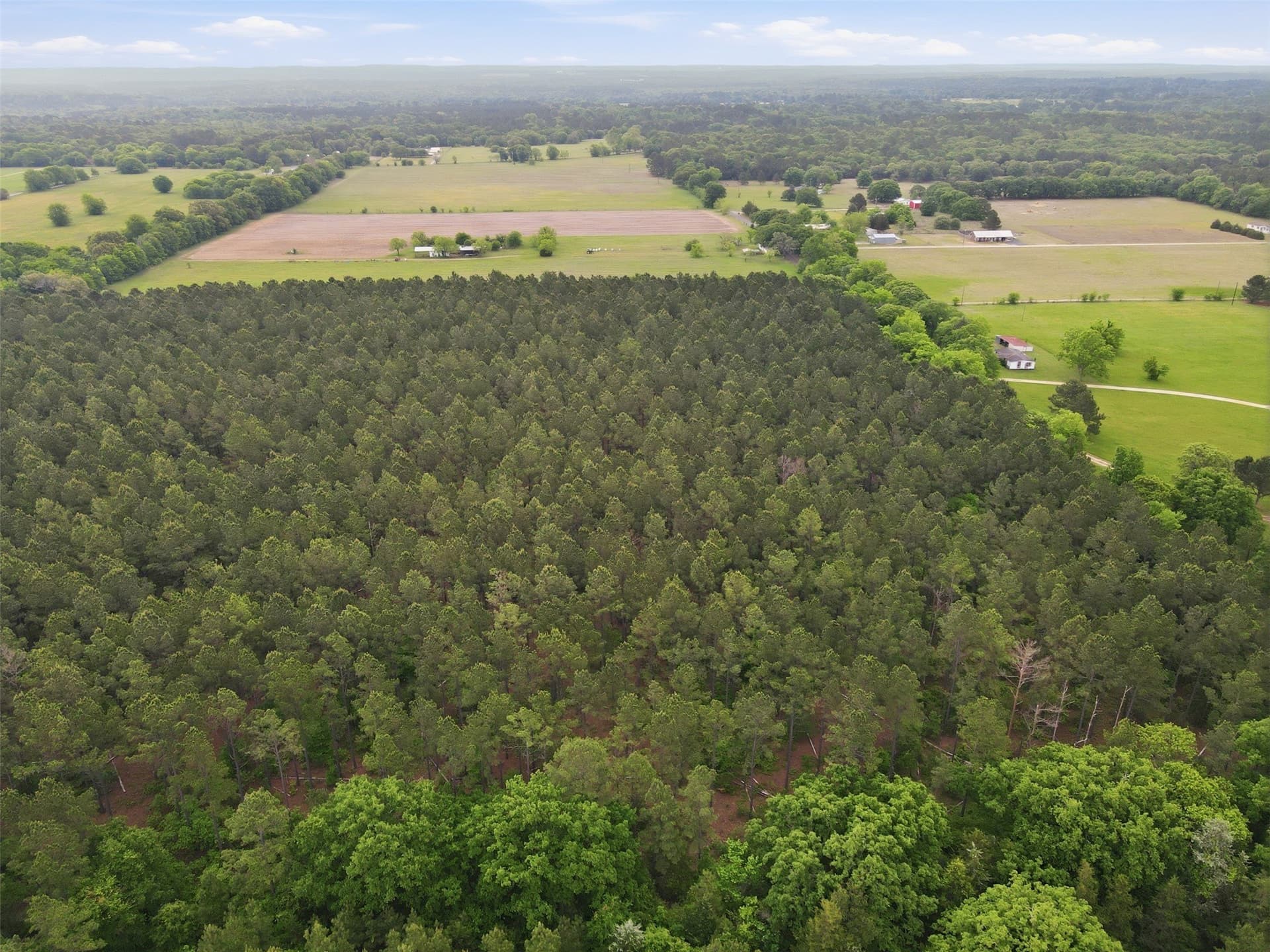 93 acres in Wood County - photo 12