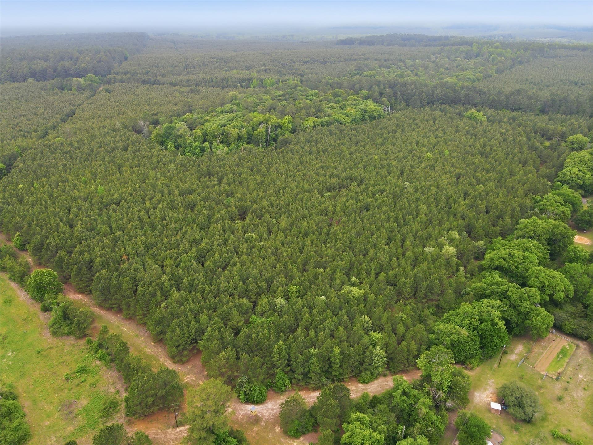 93 acres in Wood County - photo 16