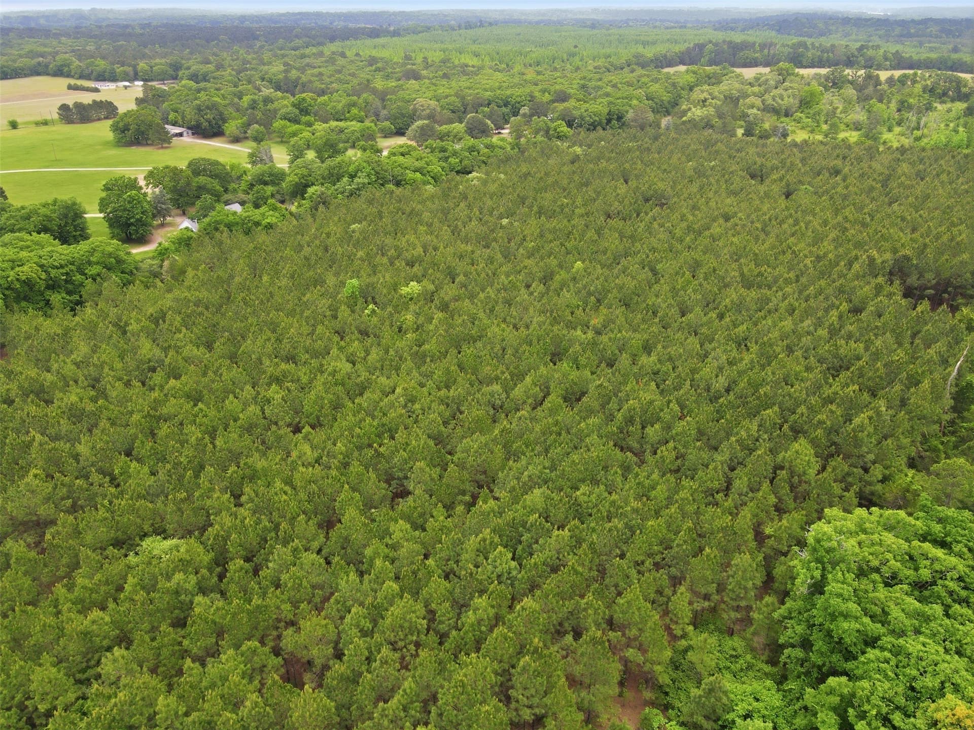 93 acres in Wood County - photo 19