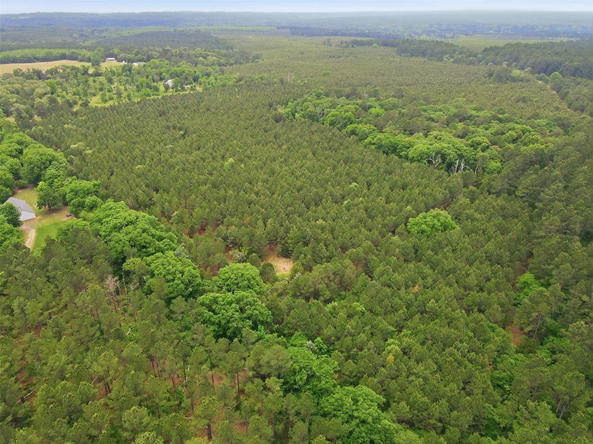 93 acres in Wood County - photo 18