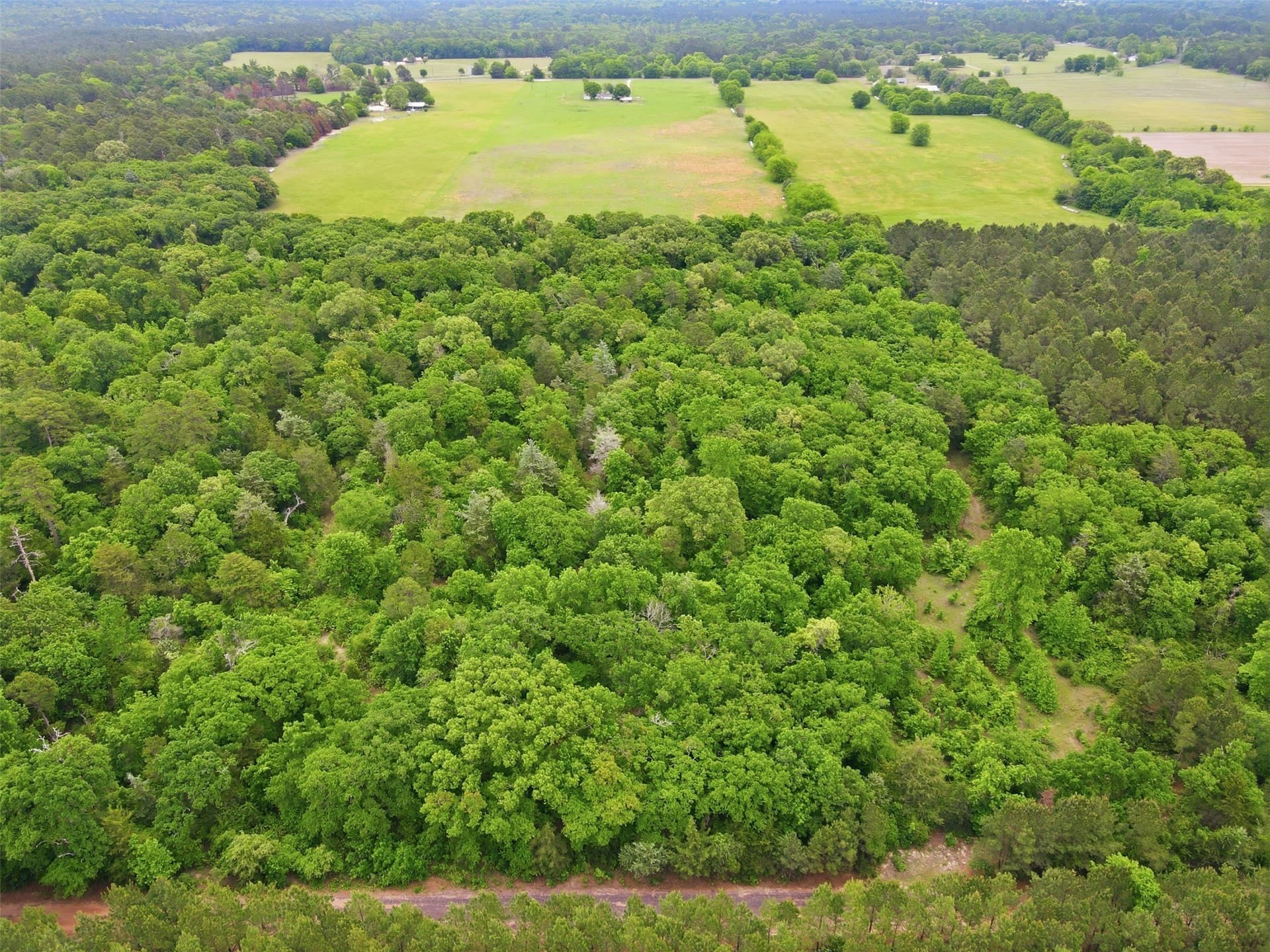 93 acres in Wood County - photo 6