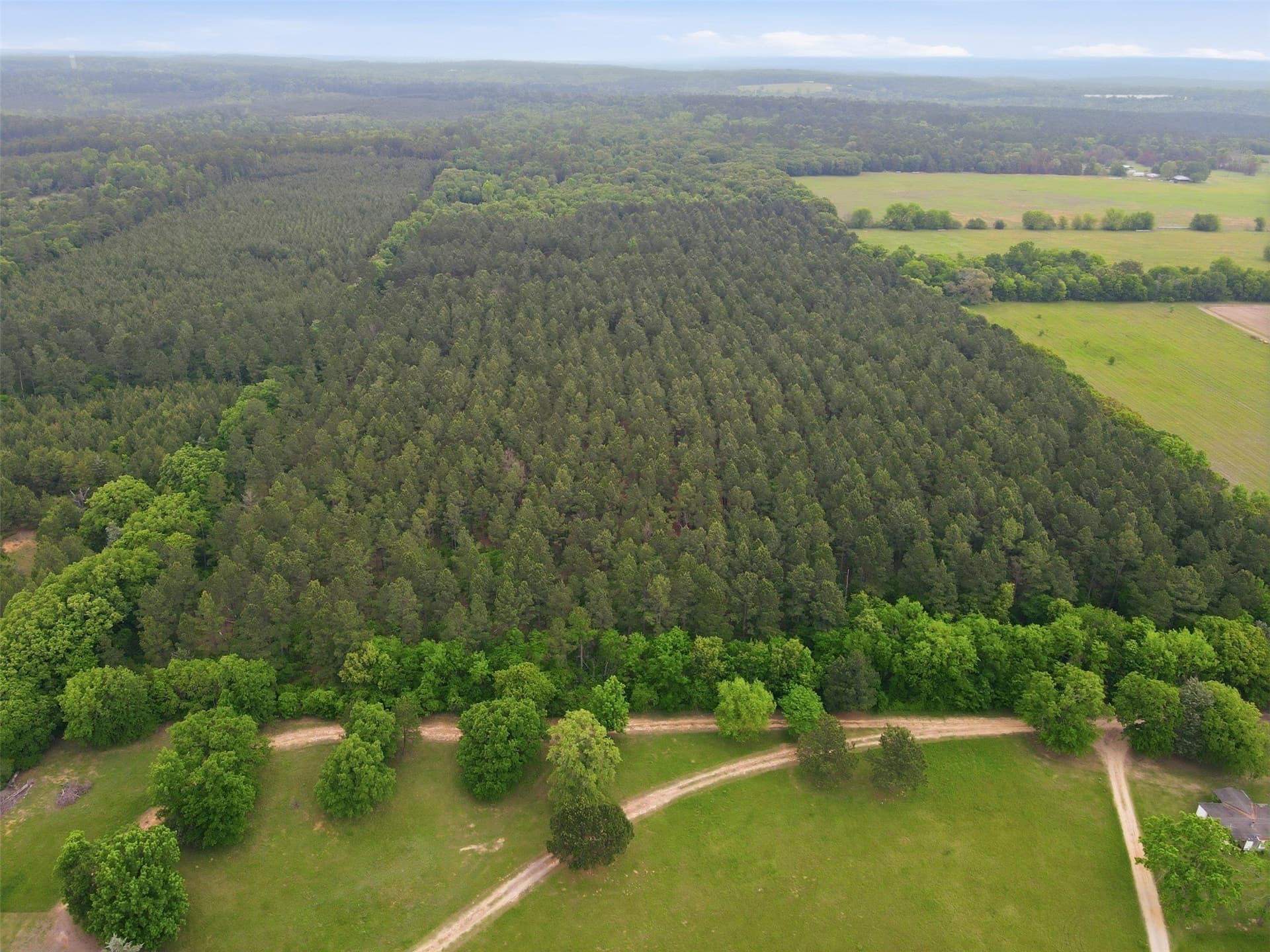 93 acres in Wood County - photo 14