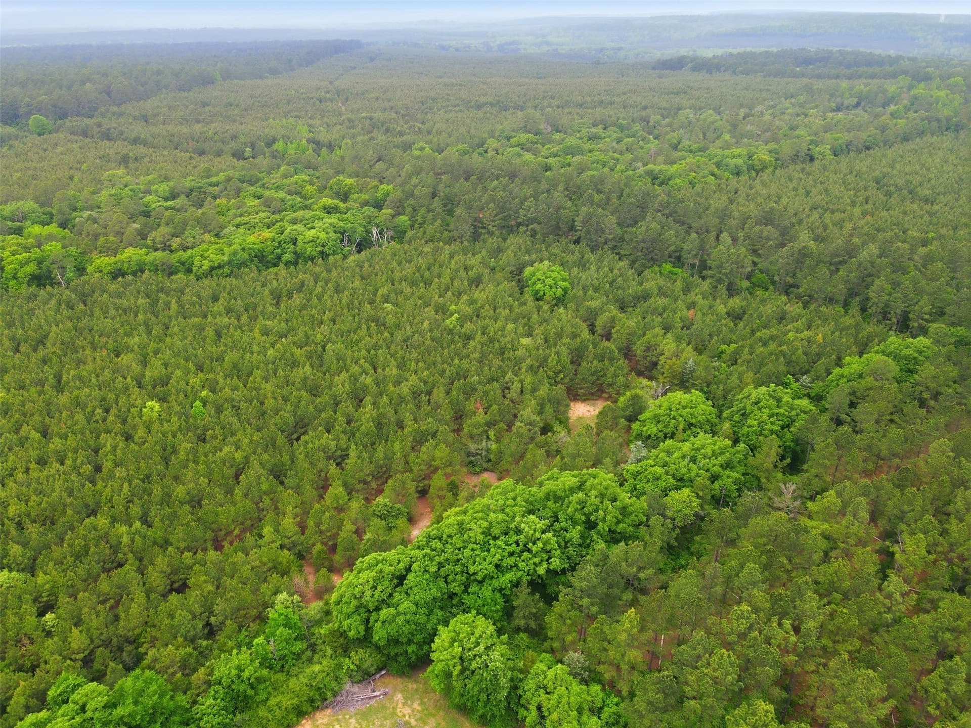 93 acres in Wood County - photo 17