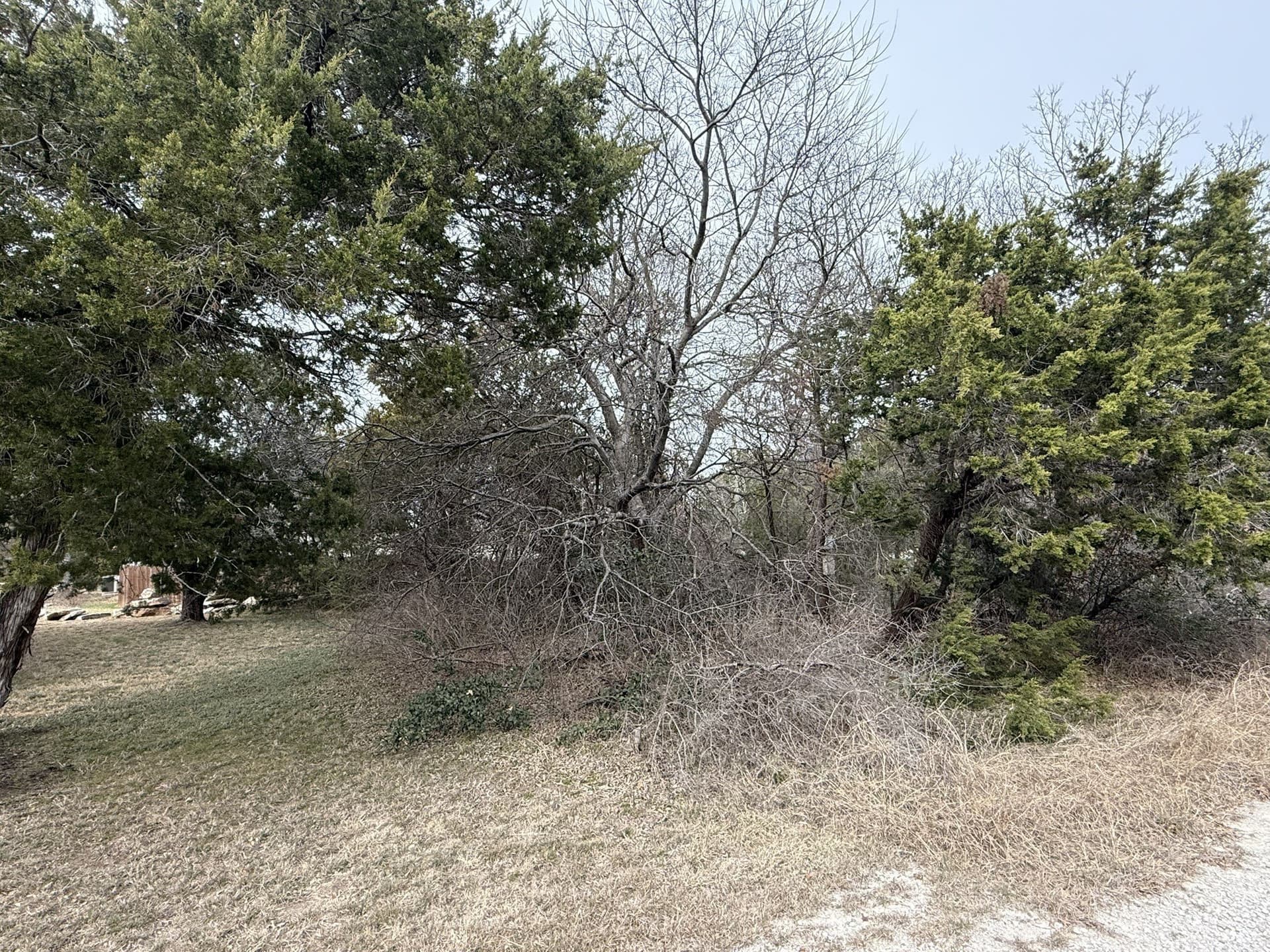 0.03 acres in Hood County gallery image 2