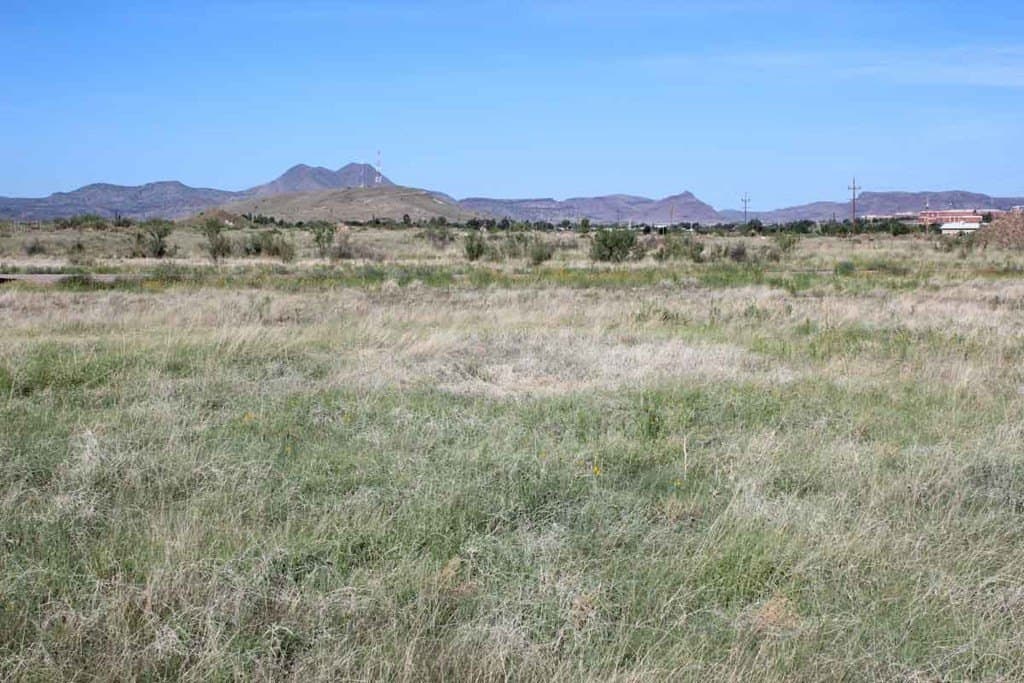 13.35 acres in Brewster County - photo 6