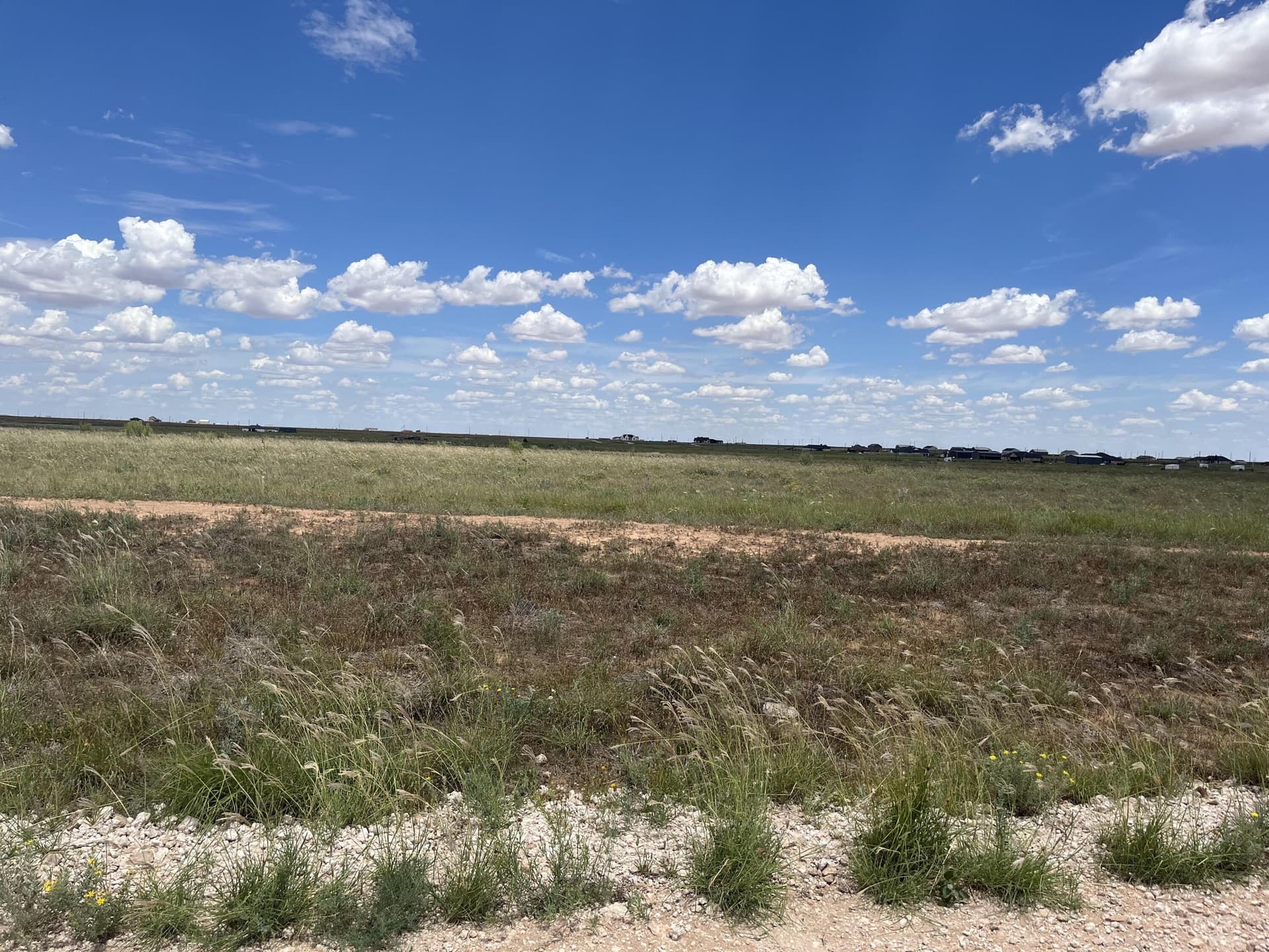 10.01 acres in Lubbock County - photo 3