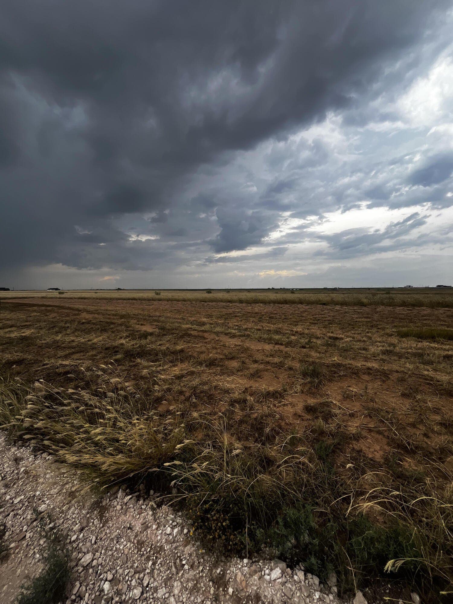 10.01 acres in Lubbock County - photo 2