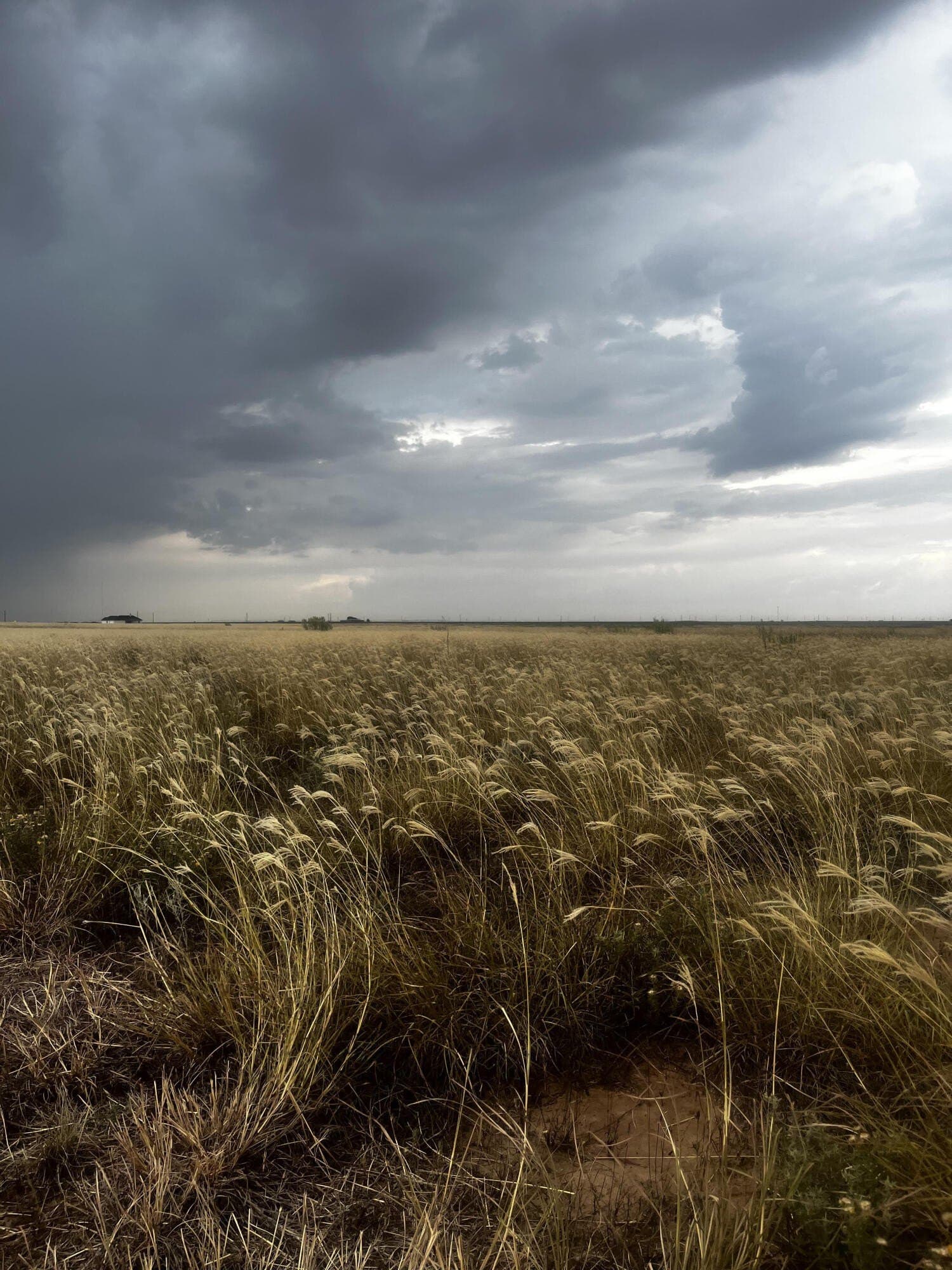 10.01 acres in Lubbock County