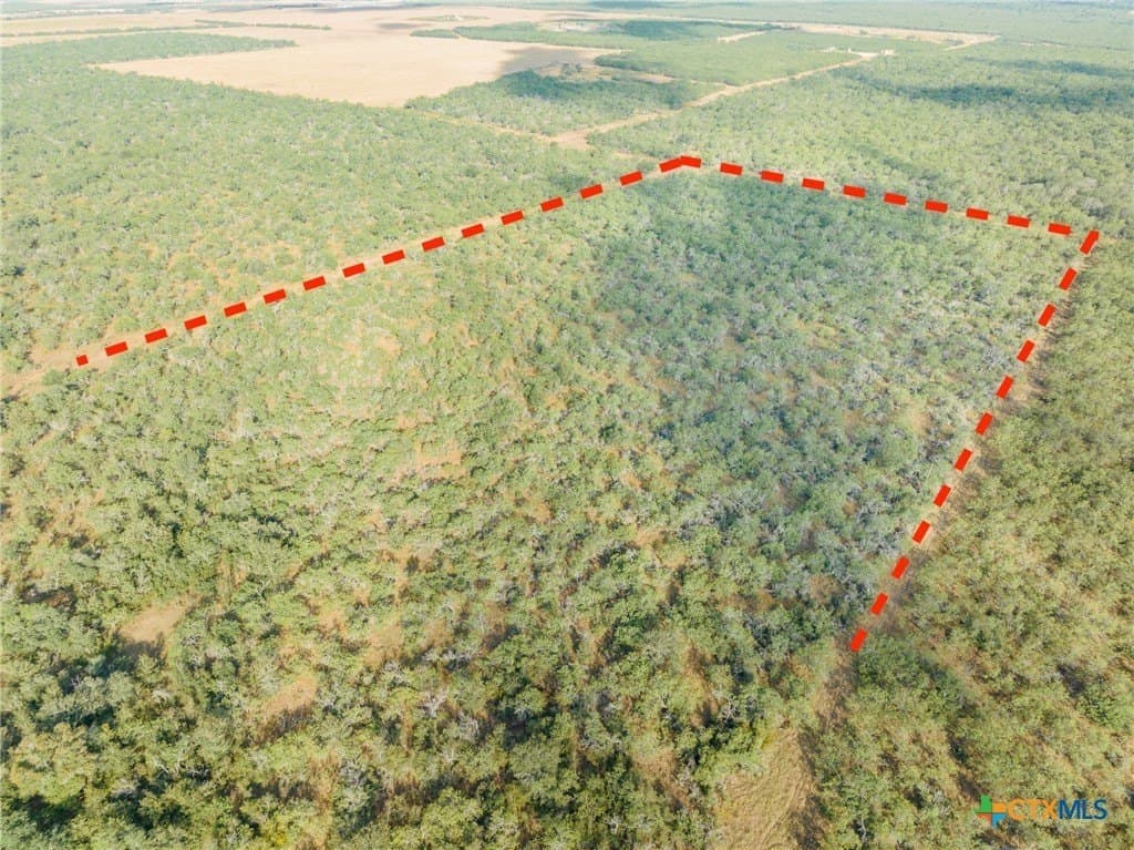 50 acres in Gonzales County - photo 8