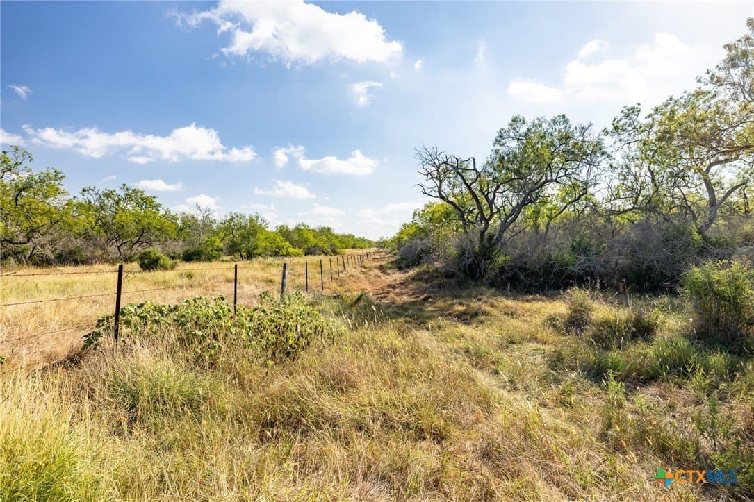 50 acres in Gonzales County gallery image 2