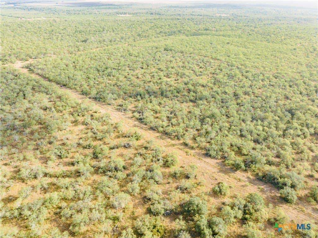 50 acres in Gonzales County - photo 7