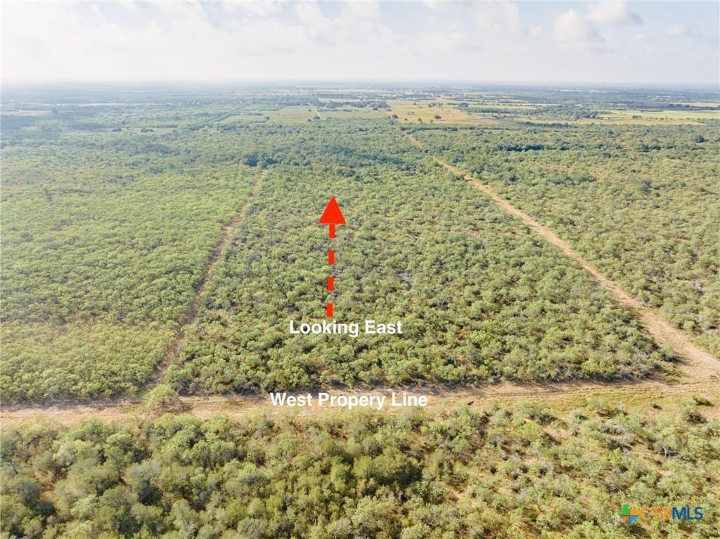50 acres in Gonzales County - photo 9