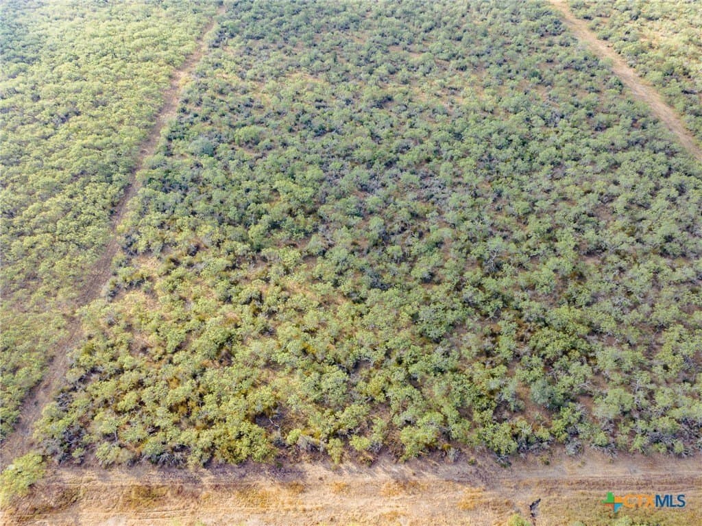 50 acres in Gonzales County - photo 6