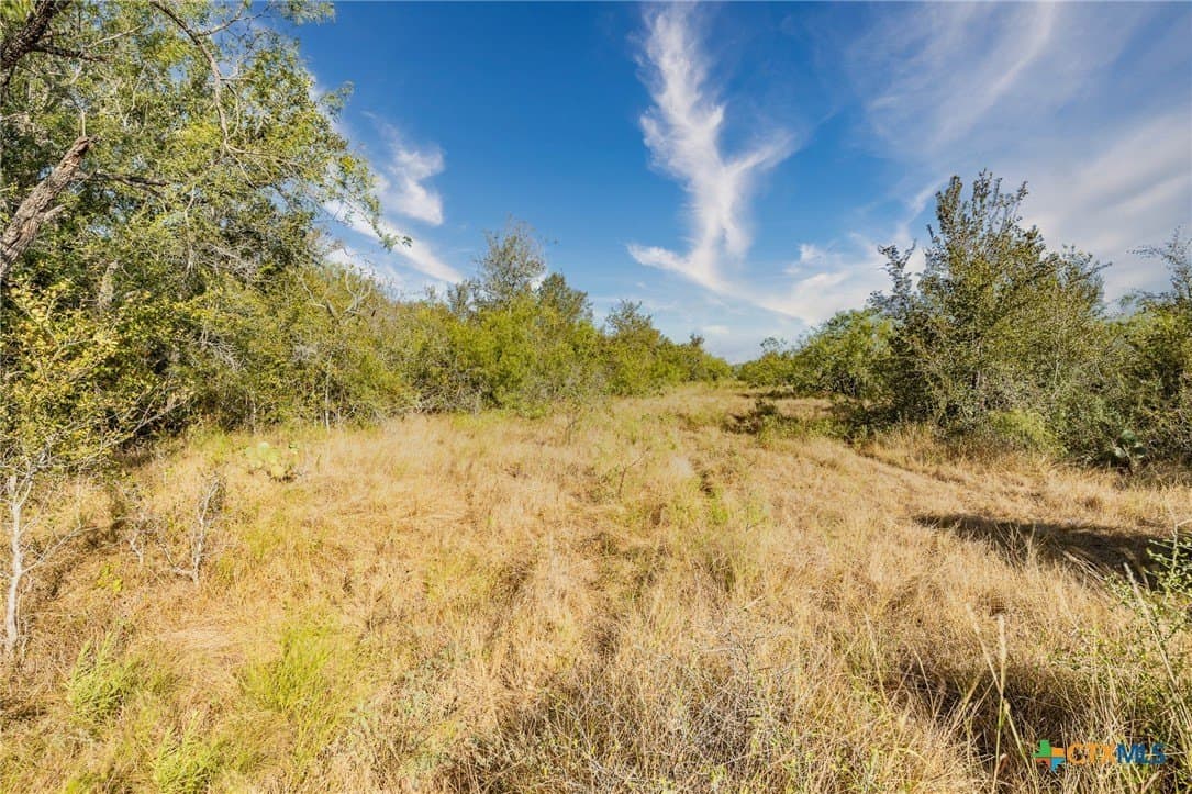50 acres in Gonzales County
