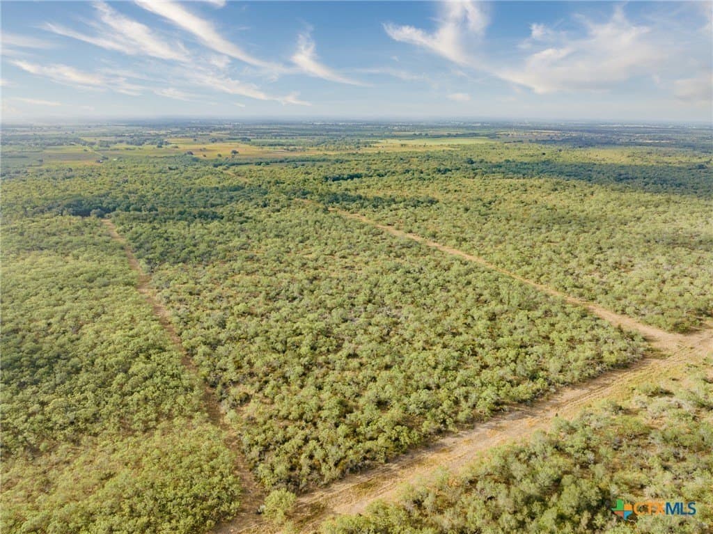 50 acres in Gonzales County gallery image 4