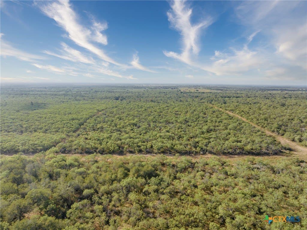 50 acres in Gonzales County - photo 10