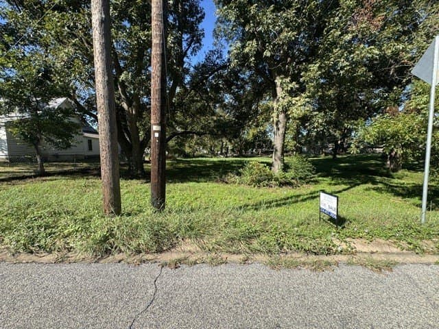 0.35 acres in Grayson County - photo 2