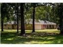 15.01 acres in ANDERSON County gallery image 4