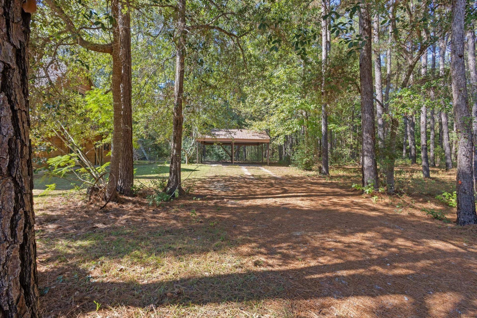 20.7 acres in Texas County gallery image 4