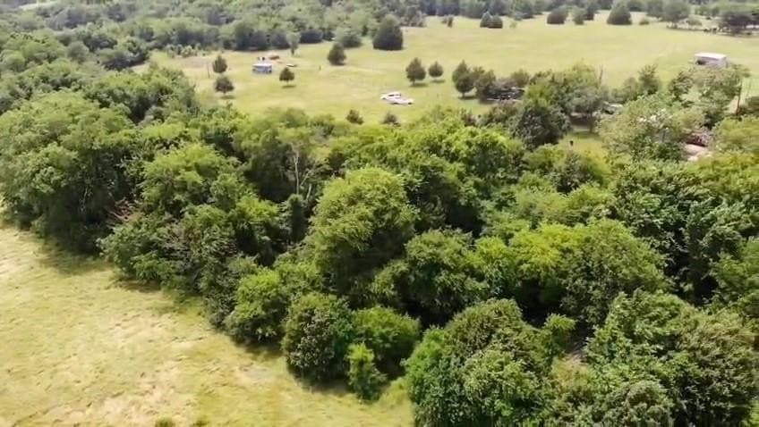 10.23 acres in Van Zandt County gallery image 2