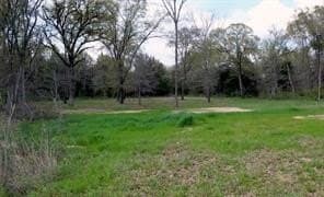5 acres in Fannin County - photo 10