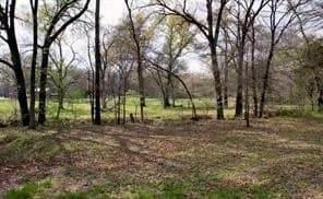 5 acres in Fannin County - photo 11