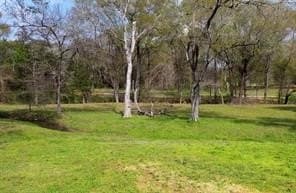 5 acres in Fannin County - photo 6